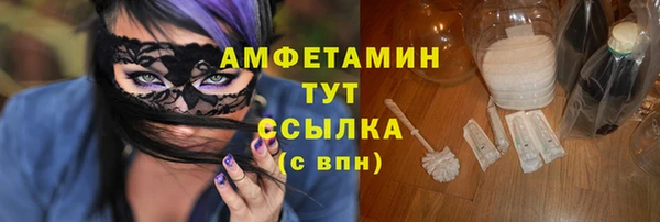 гидра Горняк