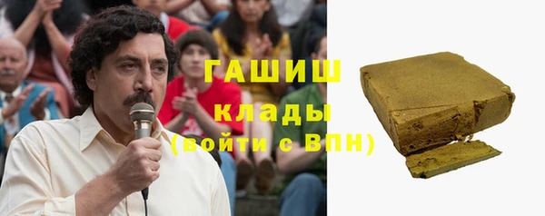 гидра Горняк