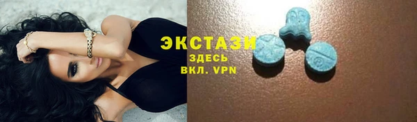 гидра Горняк