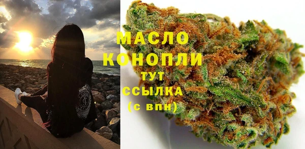 тгк Володарск