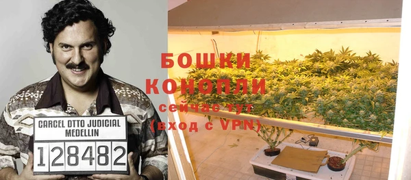 тгк Володарск