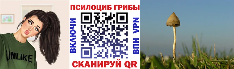 Псилоцибиновые грибы мухоморы купить Яблоновский
