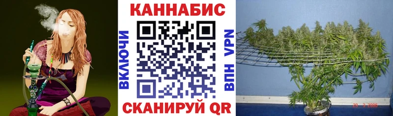 Бошки Шишки MAZAR  Яблоновский 